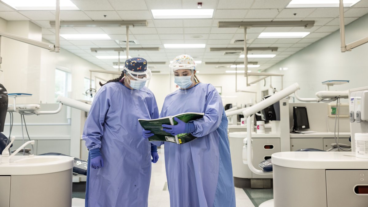 CalCommColleges's tweet image. 🩺 Happy #NationalDoctorsDay! #CaliforniaCommunityColleges play a vital role in preparing the next generation of healthcare professionals, offering hands‑on training &amp;amp; career education that leads directly to in‑demand jobs.  

📍 Explore programs near you: icangotocollege.com/colleges