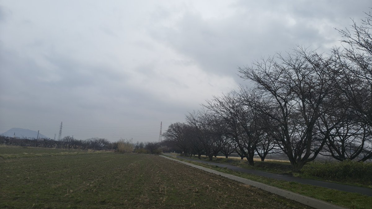 おはようございます☔

雨降る通勤路🚗³₃
現在の気温はなんと11度で最高気温は17度の予報です😊
暖かいですね☺️
須川運動公園の桜並木未だつぼみですね😯
飯坂は開花し始めましたね😊

皆さん健康第一で福のある素敵な1日を👋🥸
 #イマソラ
 #空ネット
 #福島市
 #福の空
 #ギャラリー梟