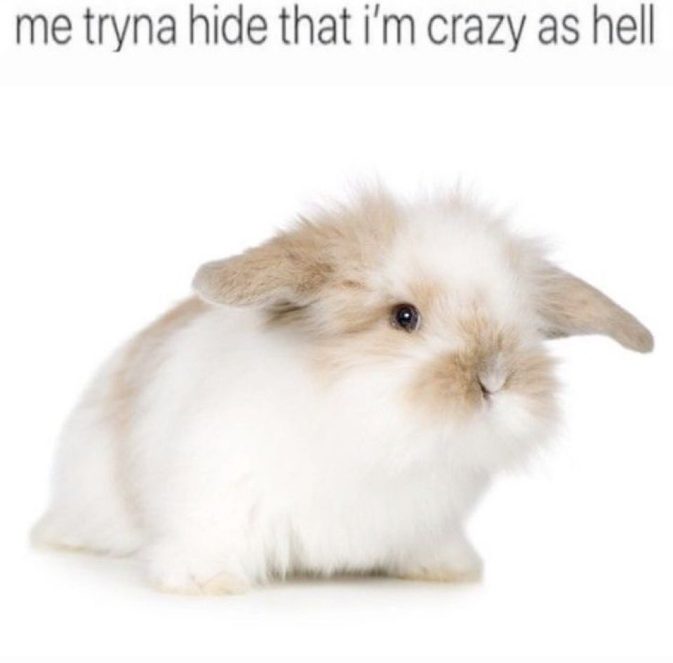 💚bunny💚 tweet media