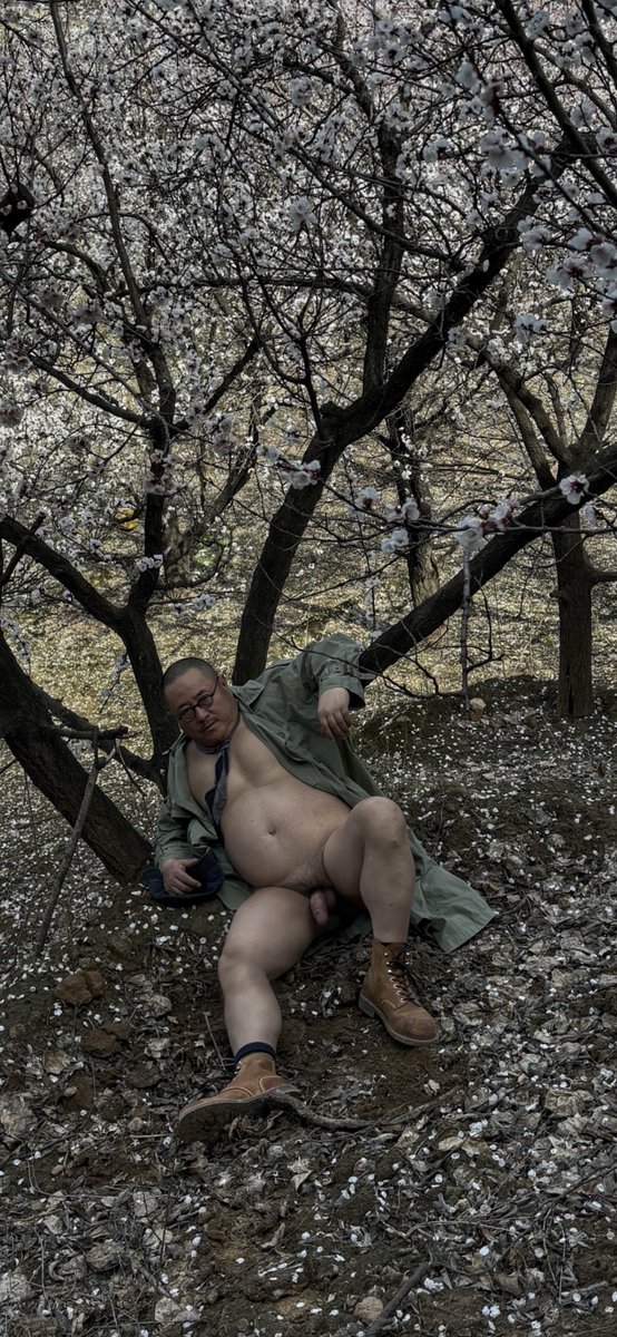 针叶林的世界 tweet media