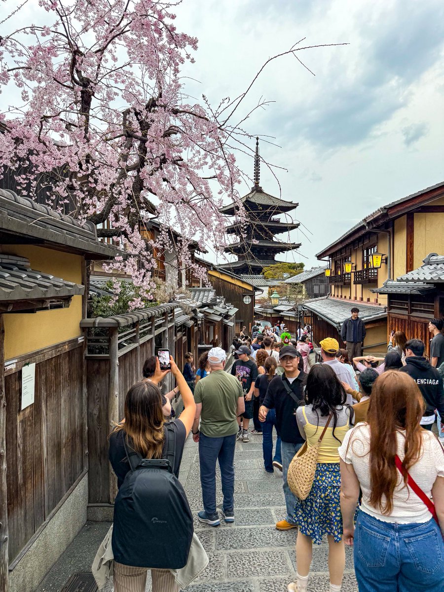 Jakes in Japan 🇯🇵 tweet media