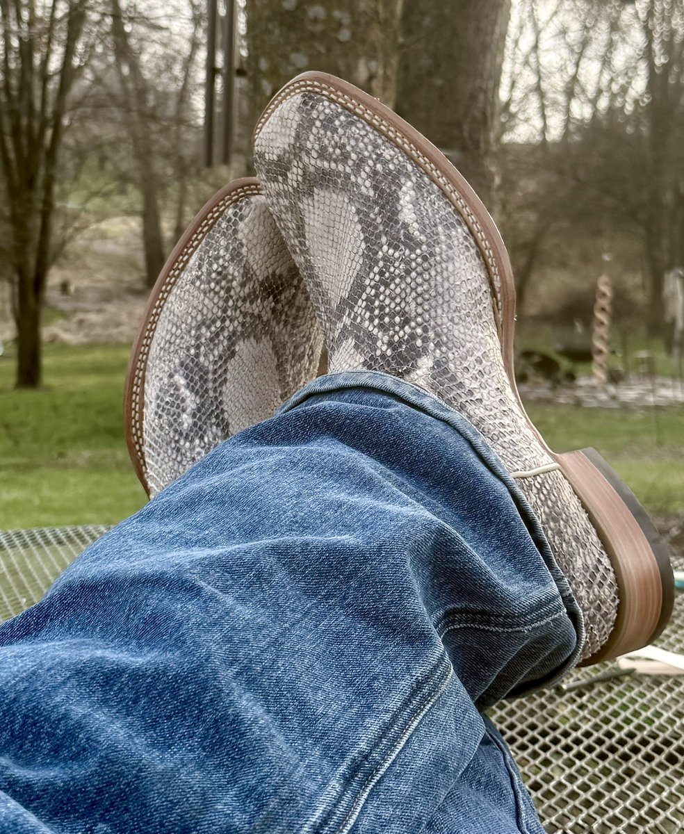 Aiden Perrin tweet media