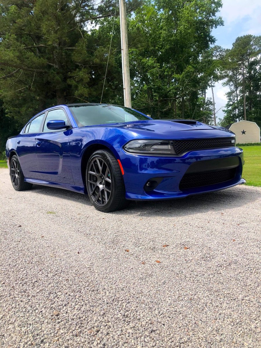 Tim Kirby🇺🇸 tweet media