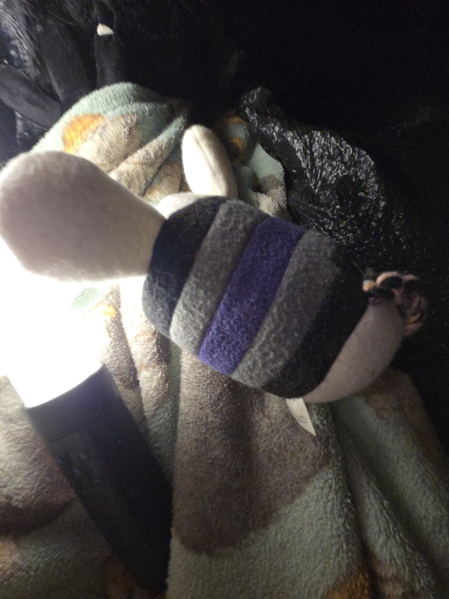 Fount of Knowledge 🗝 tweet media