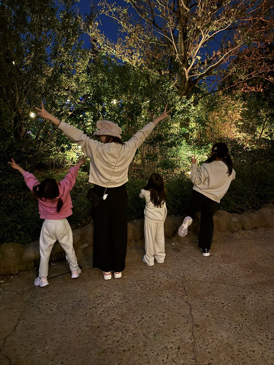 Kingレオ tweet media