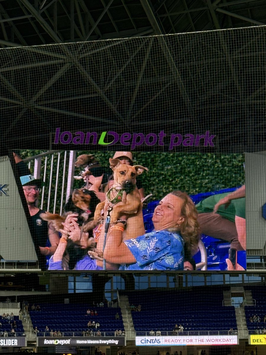 Kelly McCarthy tweet media