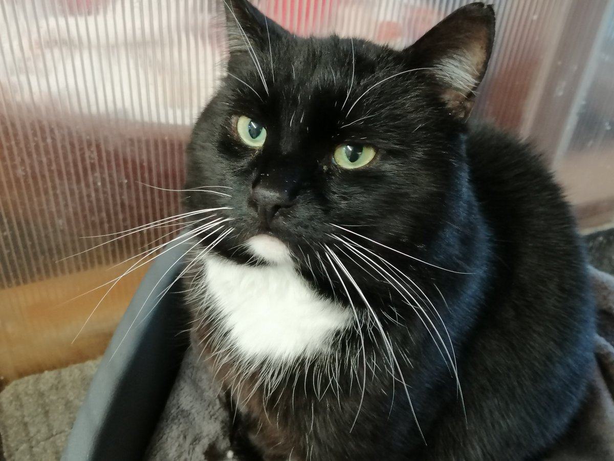 The Animal Sanctuary tweet media