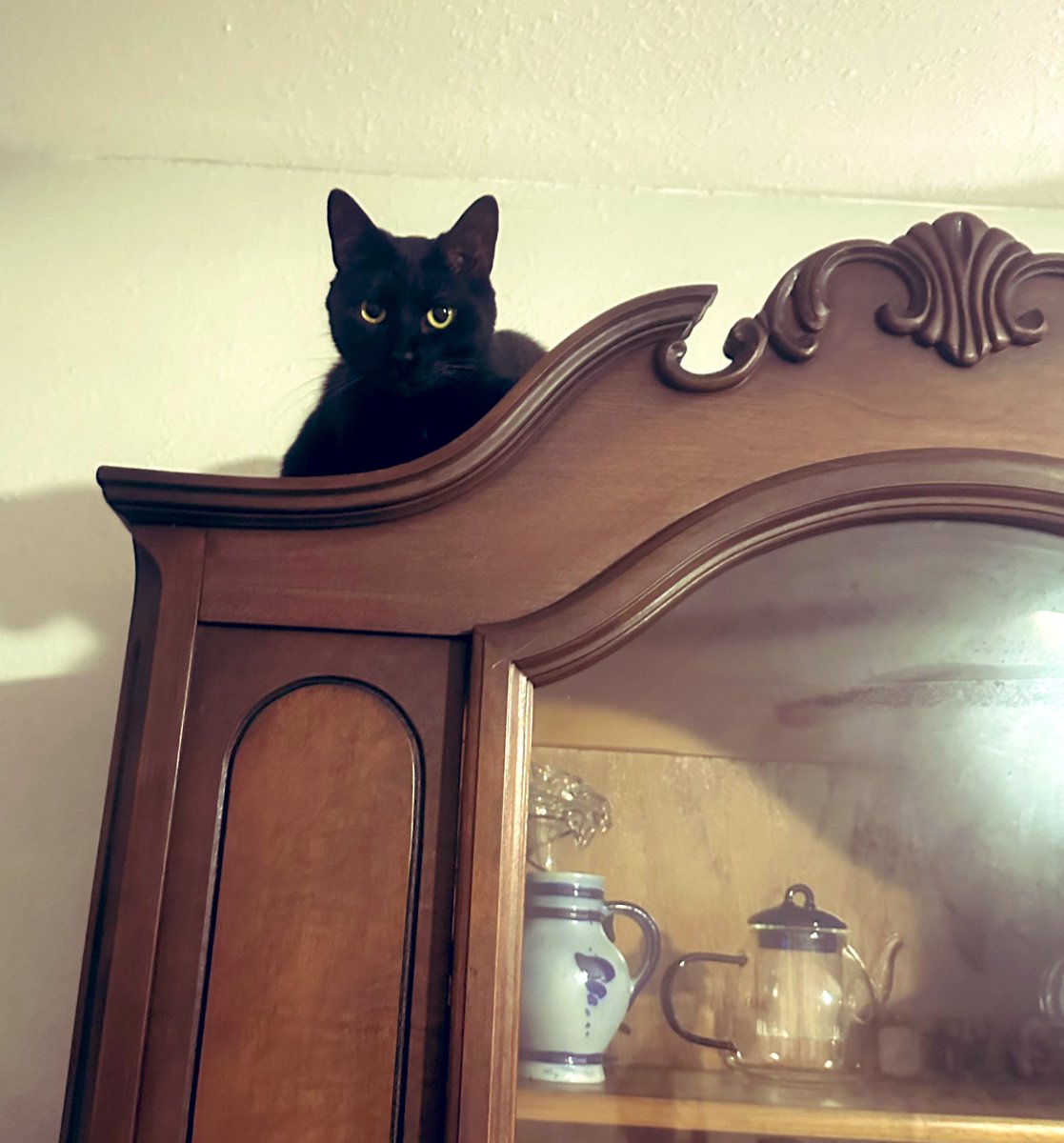 𝚃ωὶ𐒖ቲᥱ𝚍 𐍃ὶ𐍃ቲᥱᴦ 🎭 tweet media