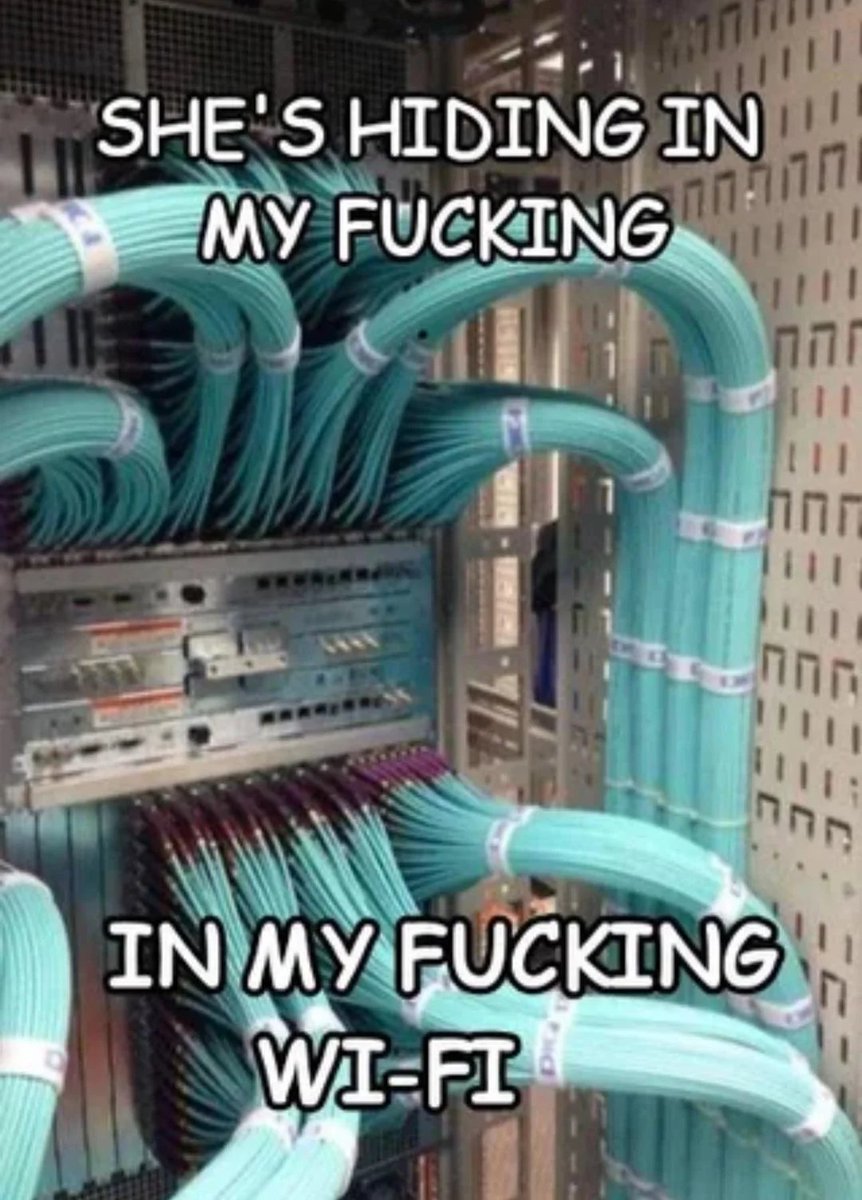 Gay Frog 🏳️‍⚧️ tweet media