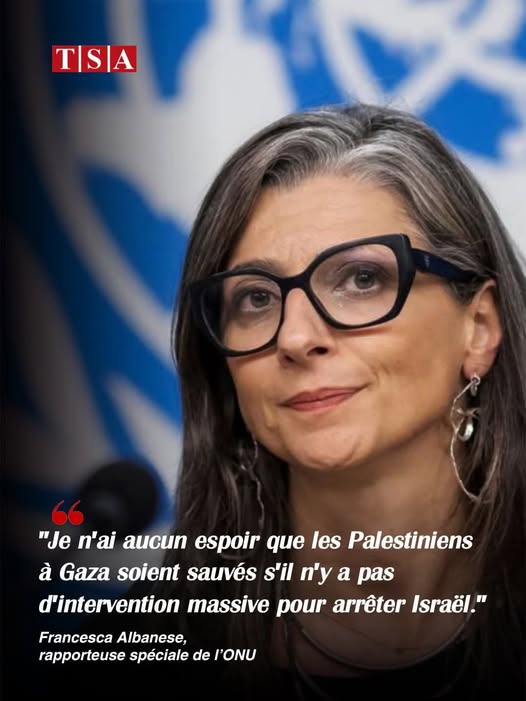 fari1722 tweet media