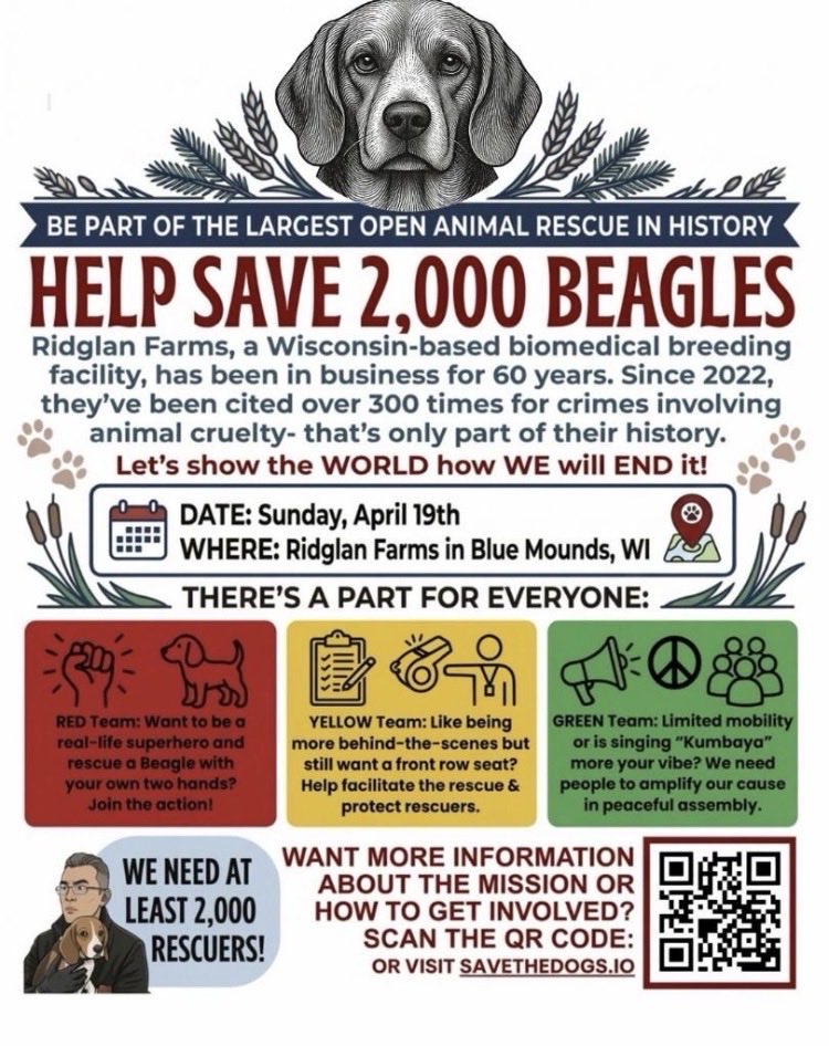 Ｍｉｇｕｅｌｌｅ tweet media