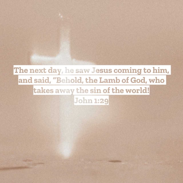 Dave Read tweet media