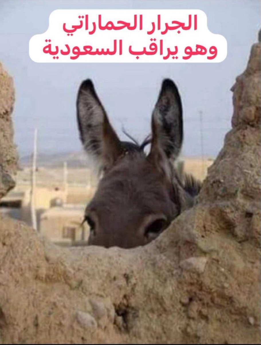 Abo ahmad 🇸🇦 tweet media