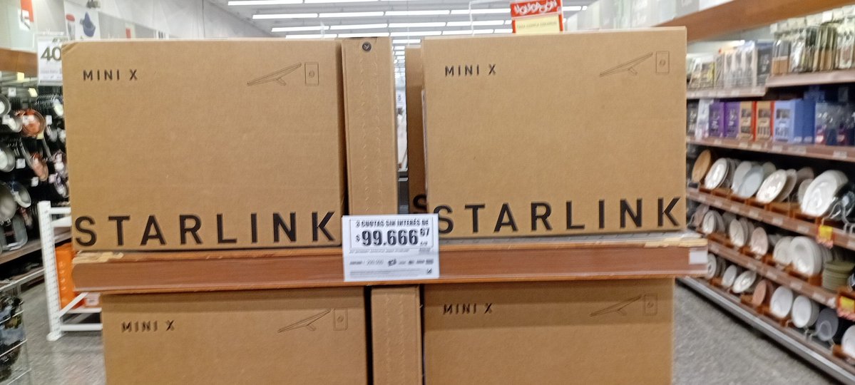 La Gorda Fan ⭐⭐⭐🦁 tweet media