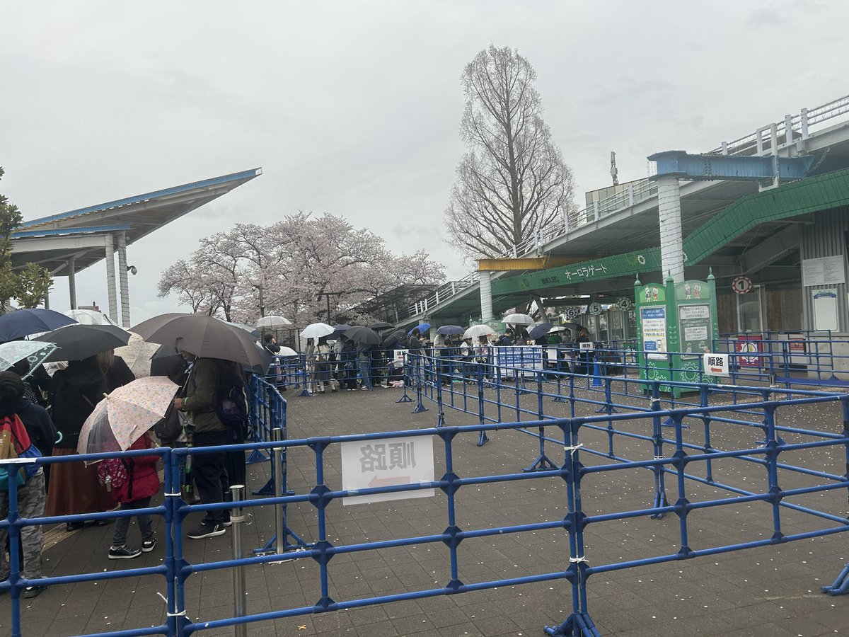 LatiLoon(ラティルーン) tweet media