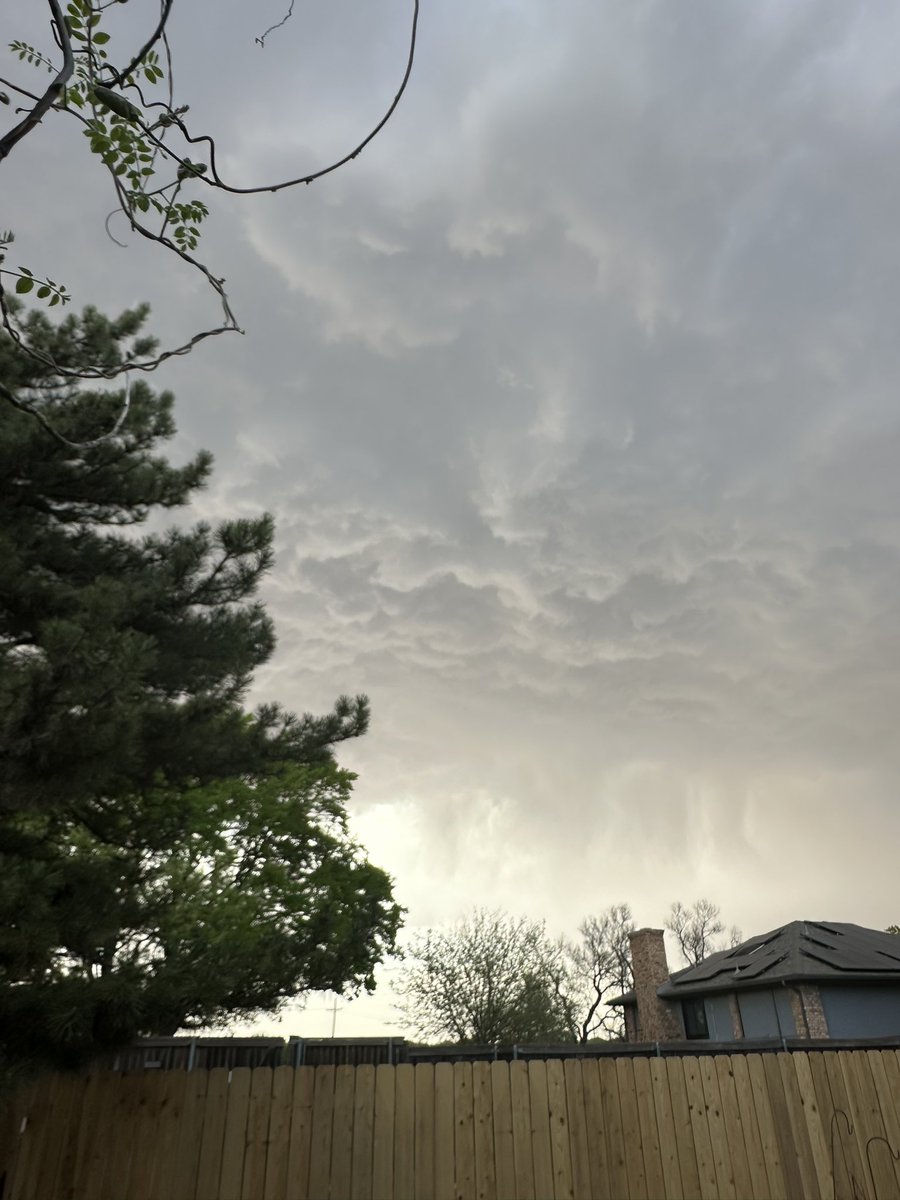 SydneyM ⁷⊙⊝⊜🪭ᴀʀɪʀᴀɴɢ ⟭⟬ 💜 ⟬⟭ 시드니 tweet media