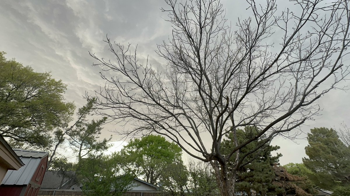 SydneyM ⁷⊙⊝⊜🪭ᴀʀɪʀᴀɴɢ ⟭⟬ 💜 ⟬⟭ 시드니 tweet media