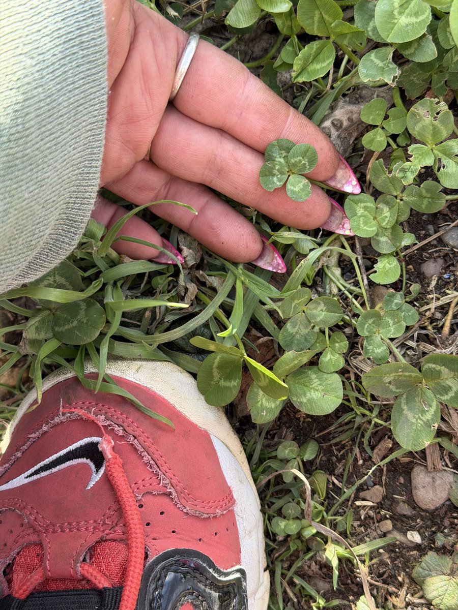 ✨SneakerPeach✨ tweet media