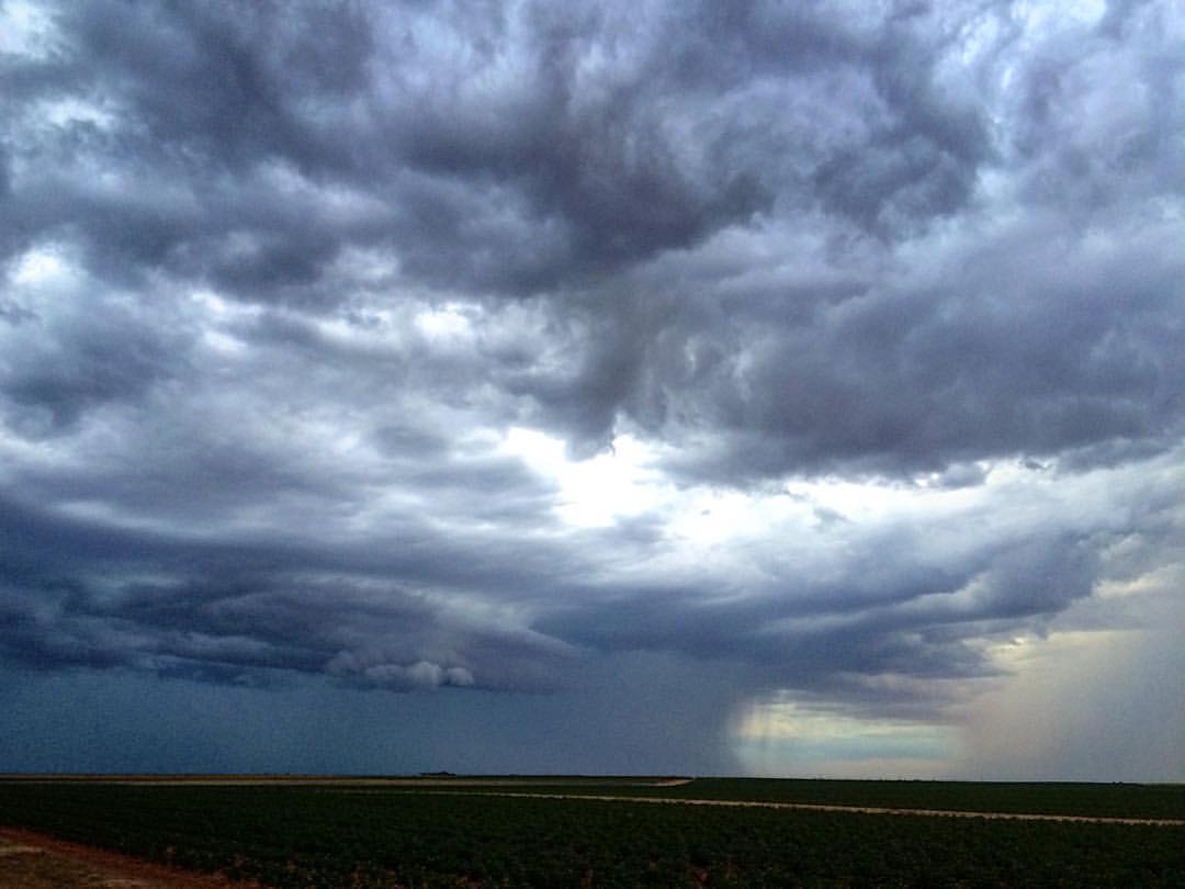 Ryan Hyatt tweet media