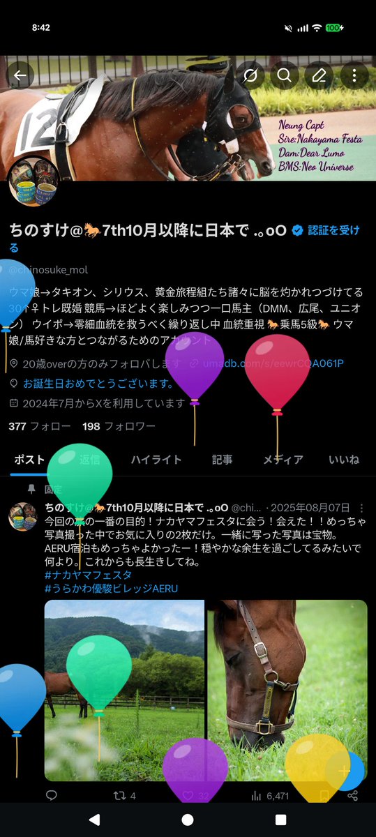 ちのすけ@🐎7th10月以降に日本で .。oO tweet media