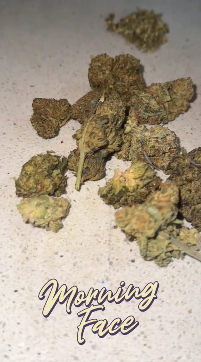 Justherelol tweet media