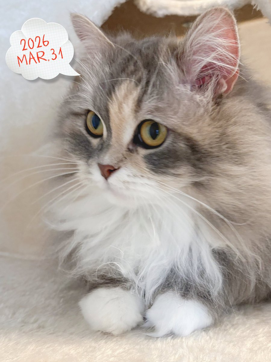 Emma🌸 tweet media