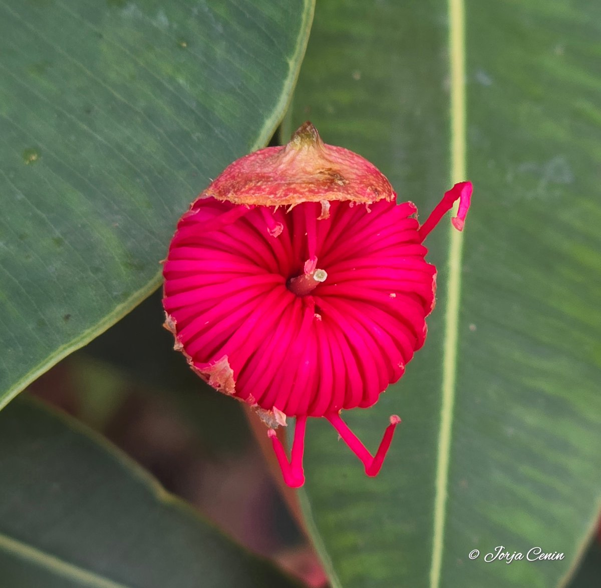 Into Nature Photography with Jorja tweet media