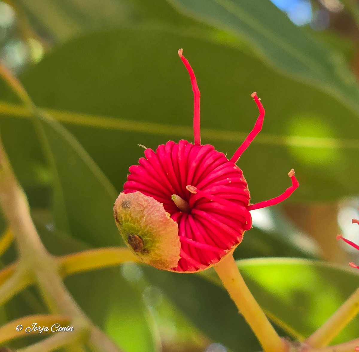 Into Nature Photography with Jorja tweet media