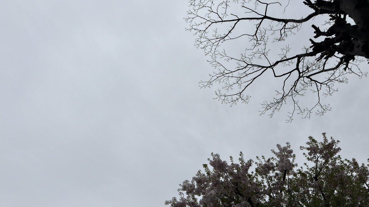 トモ@遠軽の雌狼 tweet media