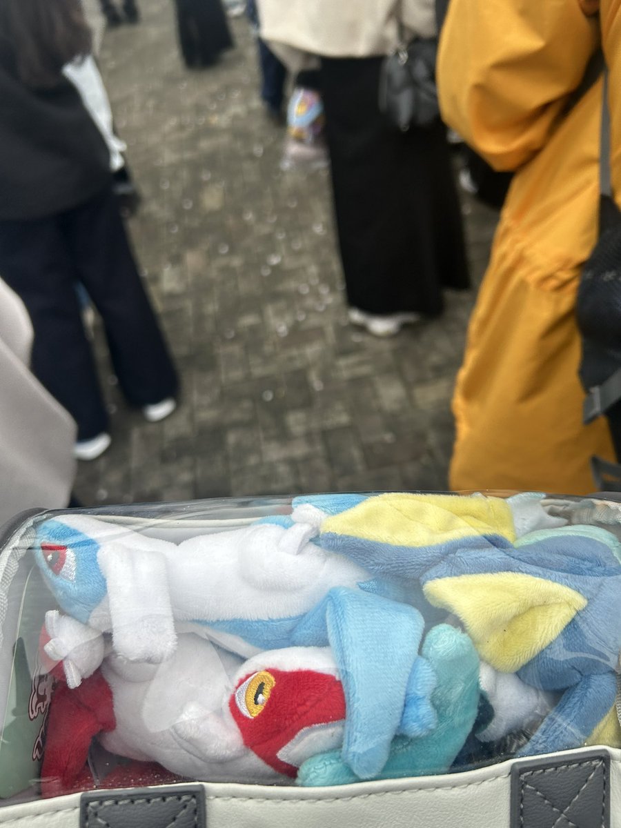 LatiLoon(ラティルーン) tweet media