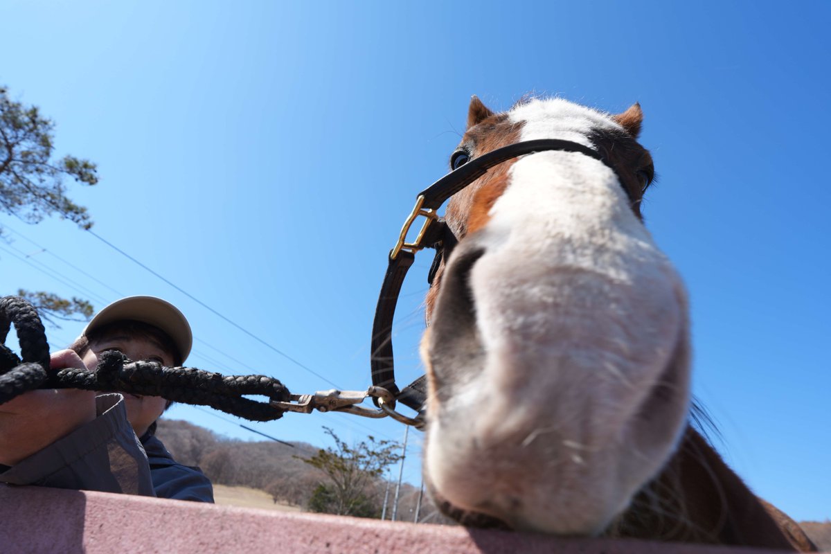 四月一日 tweet media