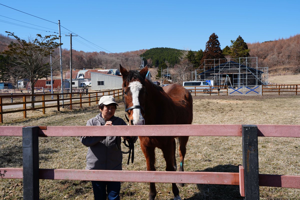 四月一日 tweet media