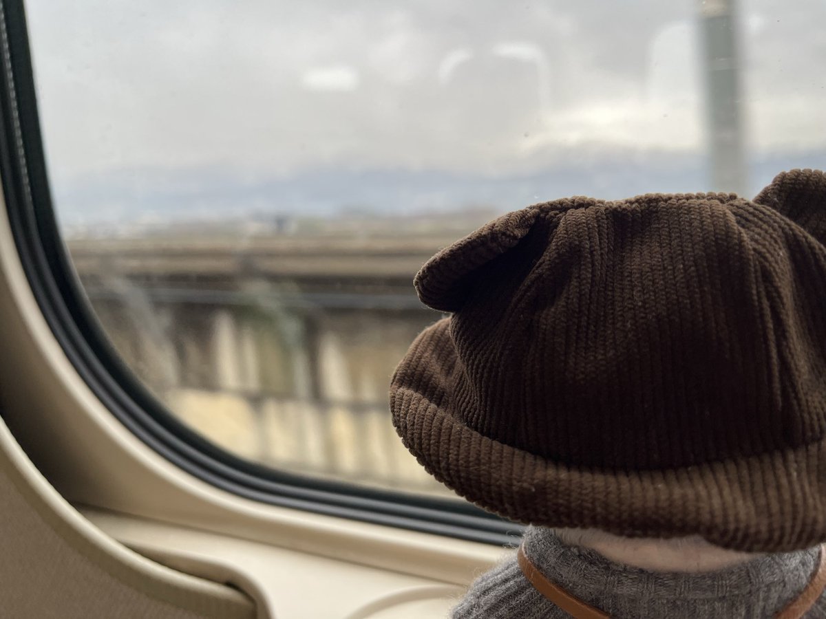 ココ@ぬいと生活 tweet media