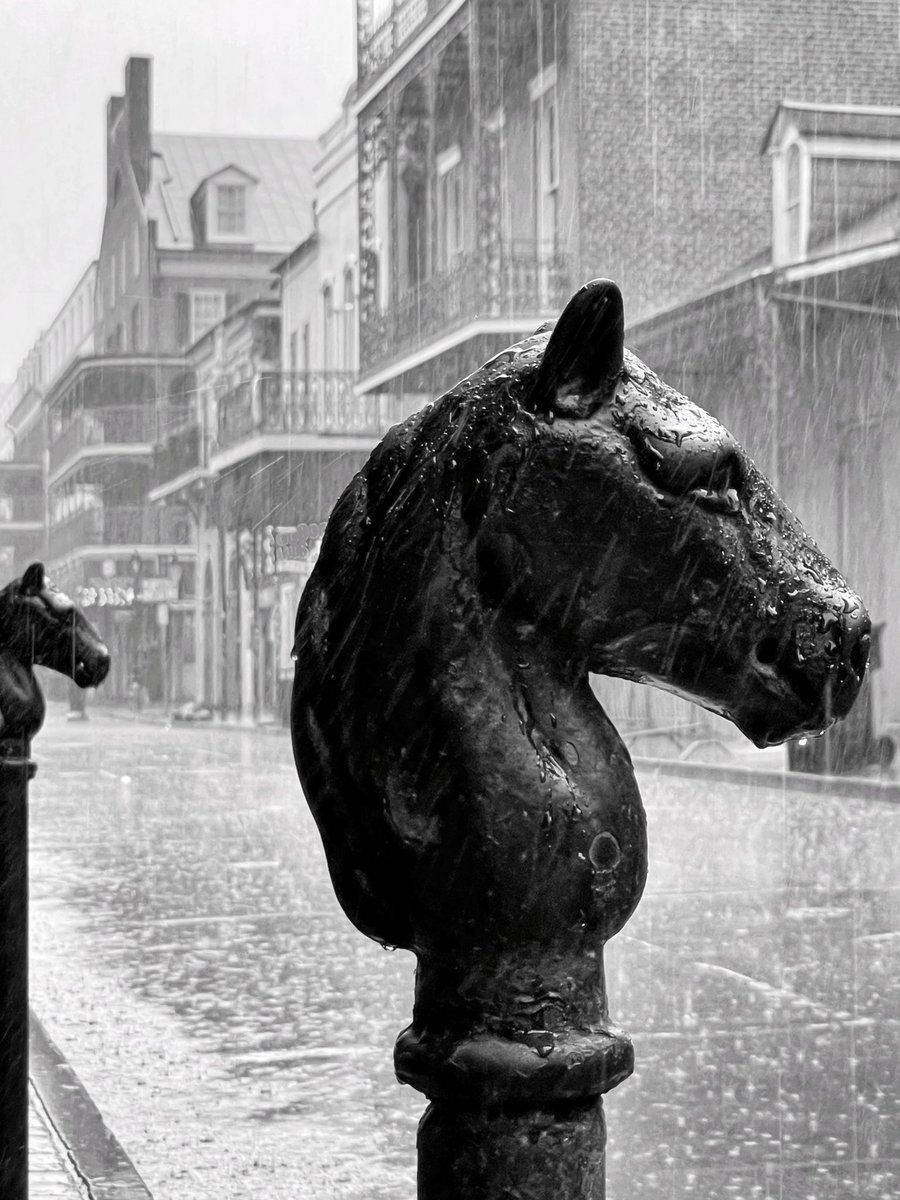 David Nola tweet media