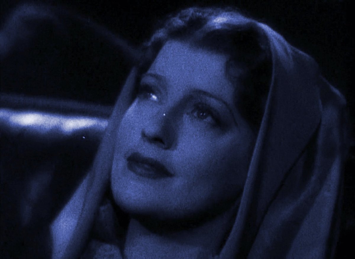 liza 🤨 tweet media