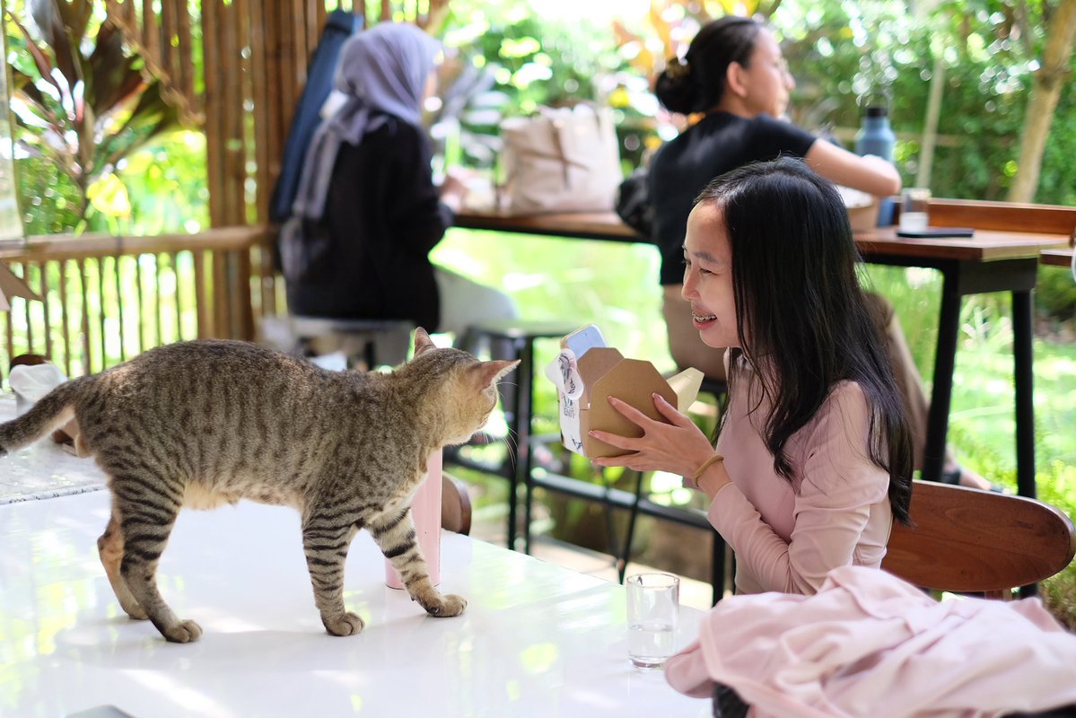 yang mulia tweet media