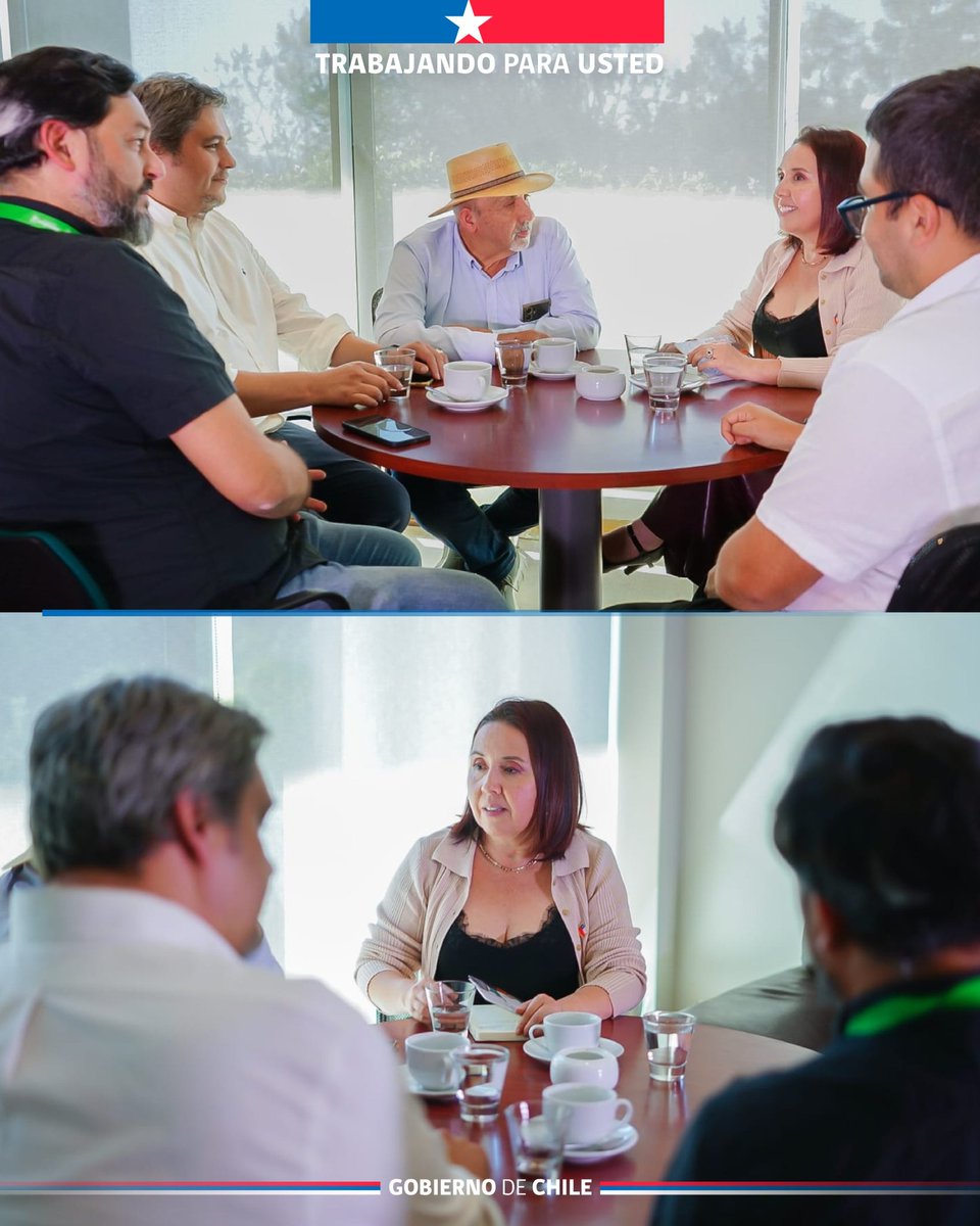 MOP Maule tweet media