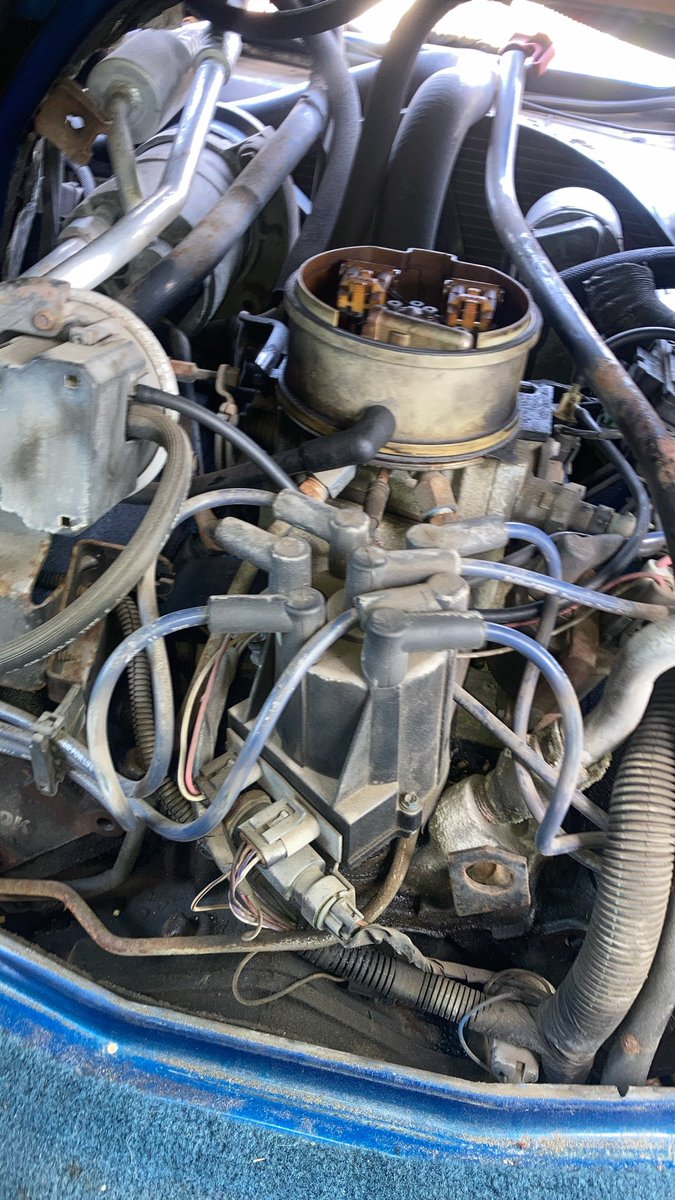 ExplodingPossum tweet media