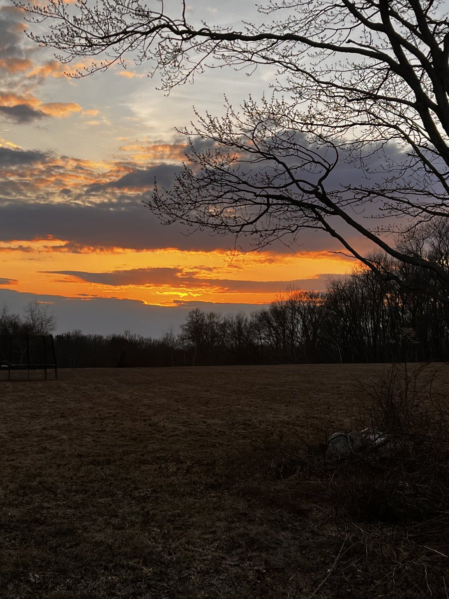 TheMig4450 tweet media