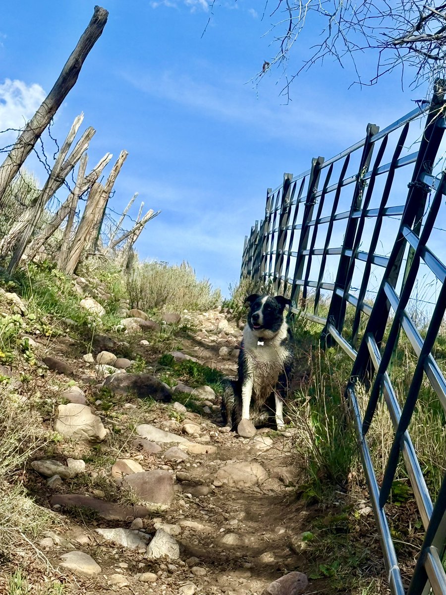 Tanner Mertlich tweet media