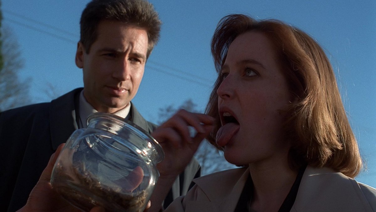 Black Lodge Cult tweet media