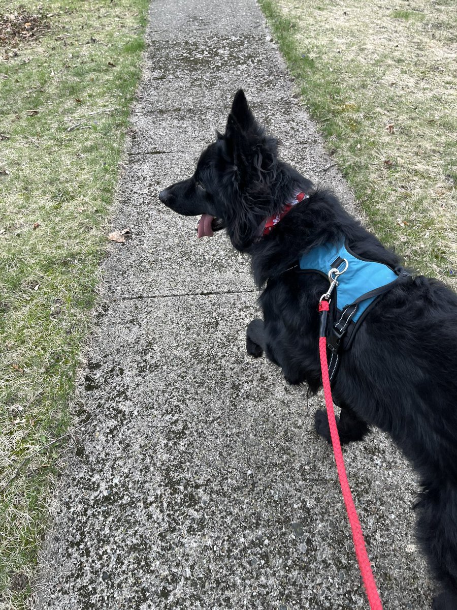 🦴 kota 🦴 tweet media