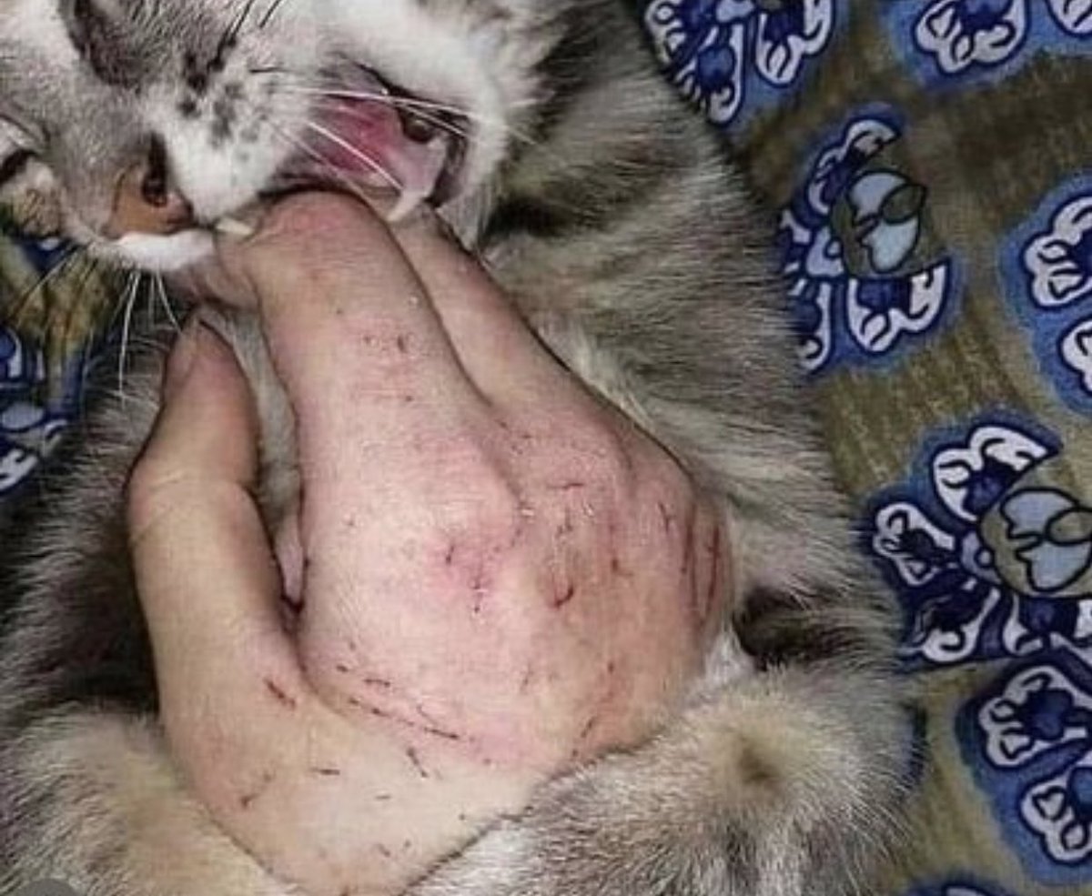 sad vibes tweet media