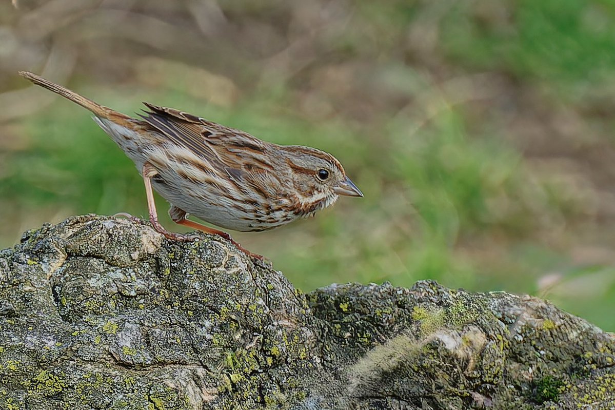 EJ Bartolazo tweet media