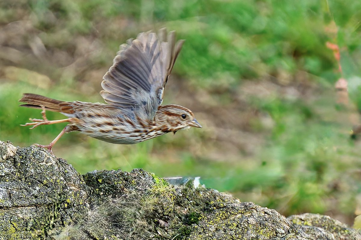 EJ Bartolazo tweet media