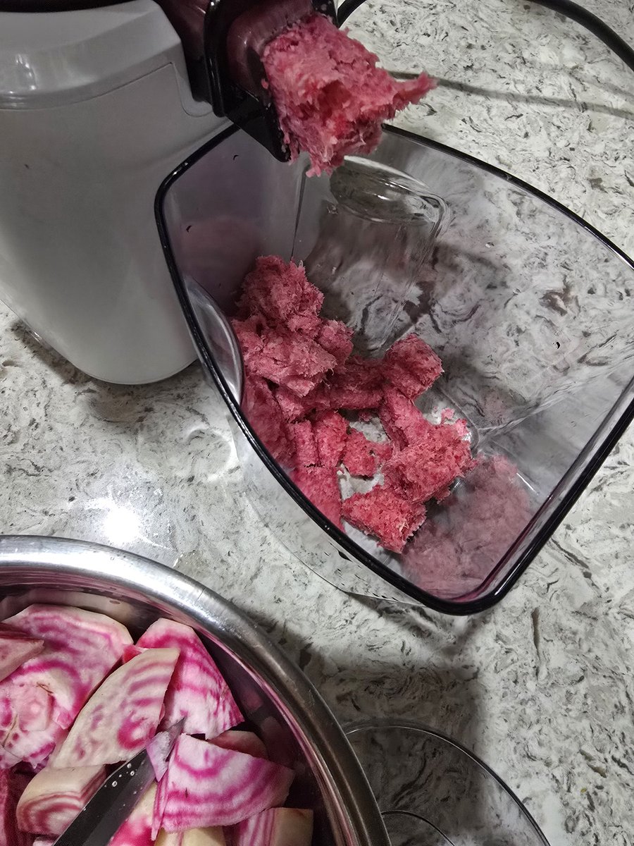 ✨️Kgn ¹人³ Yute✨️ tweet media