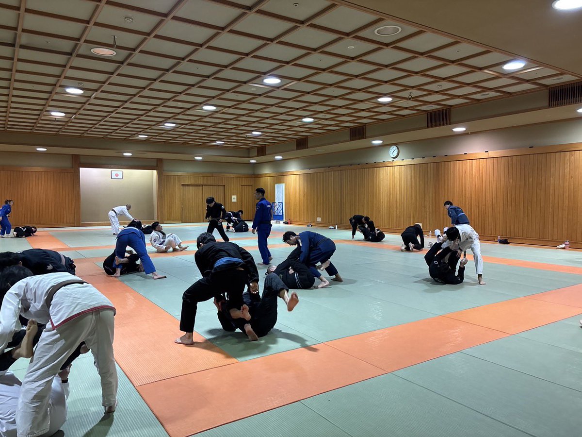 橋本知之 tweet media