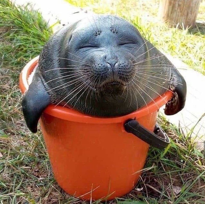 ꧁•⊹٭ 𝒦𝒶𝓎𝓁𝒶 ٭⊹•꧂ tweet media