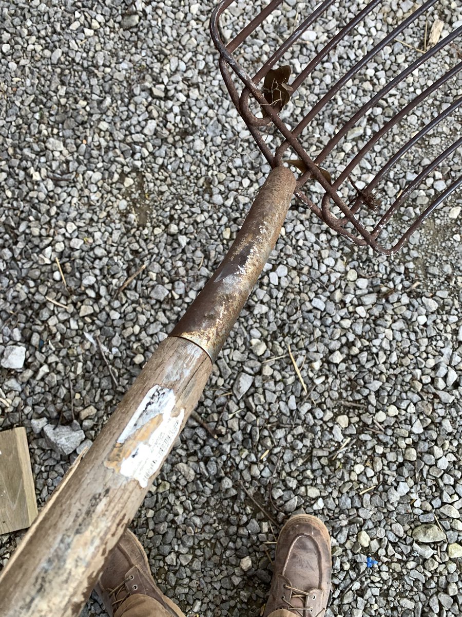 🏴‍☠️Kentucky Rebel Scum🏴‍☠️ tweet media