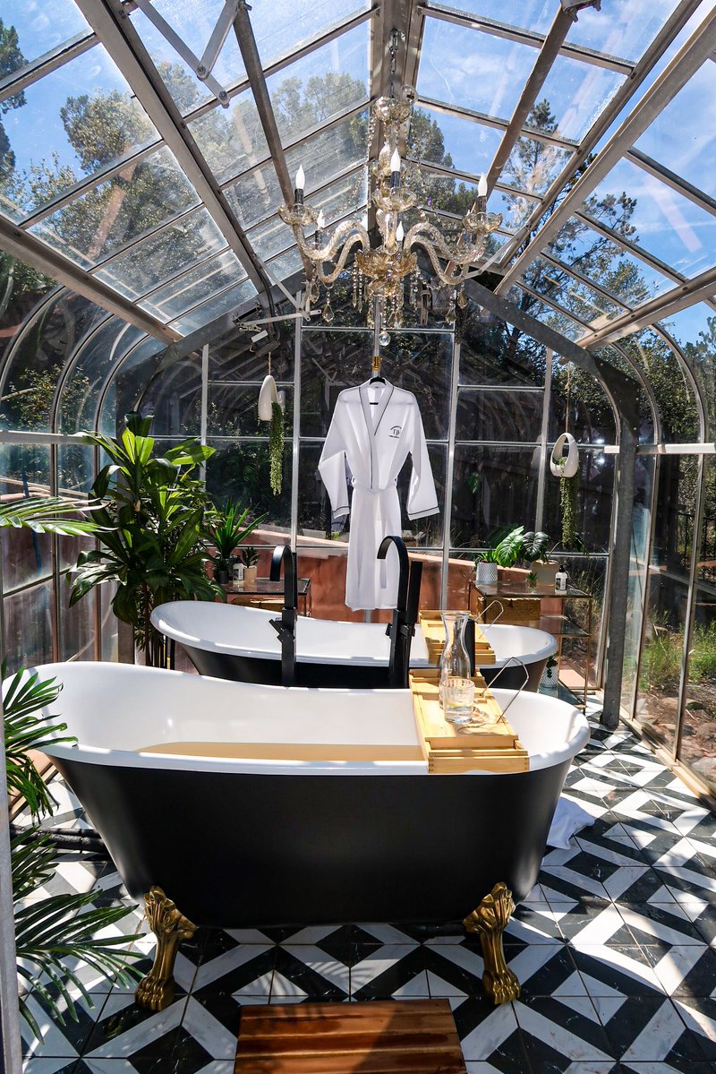 BLACK AMERICAN PRINCESS tweet media